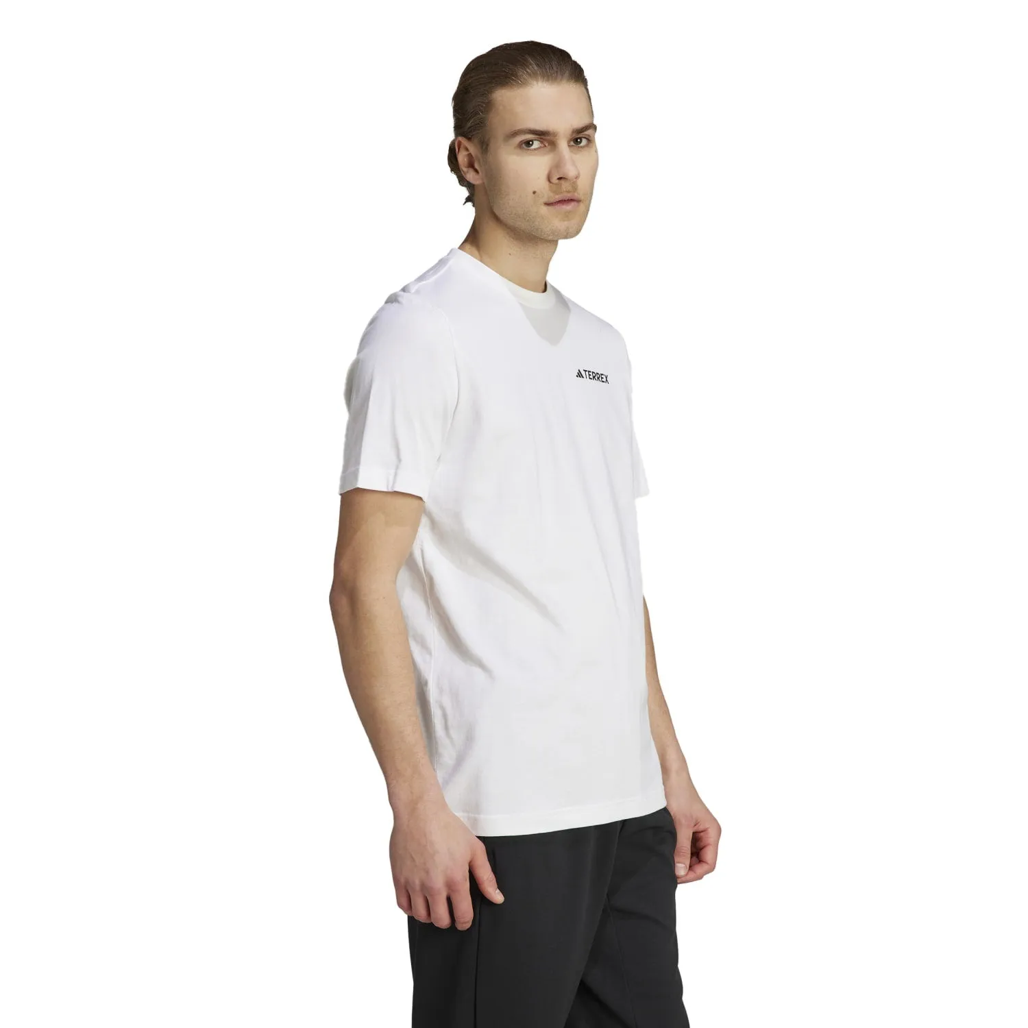 Adidas Outdoor Men Terrex Graphic MTN 2.0 Tee White IL2648