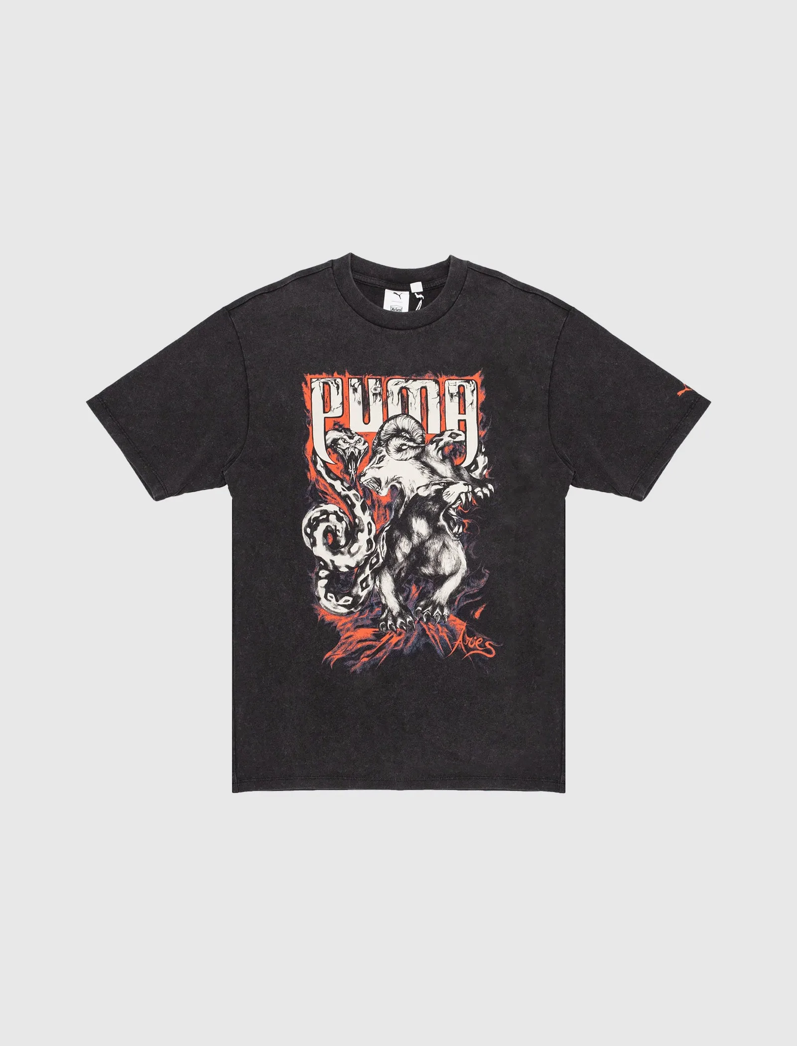 ARIES GRAPHIC TEE