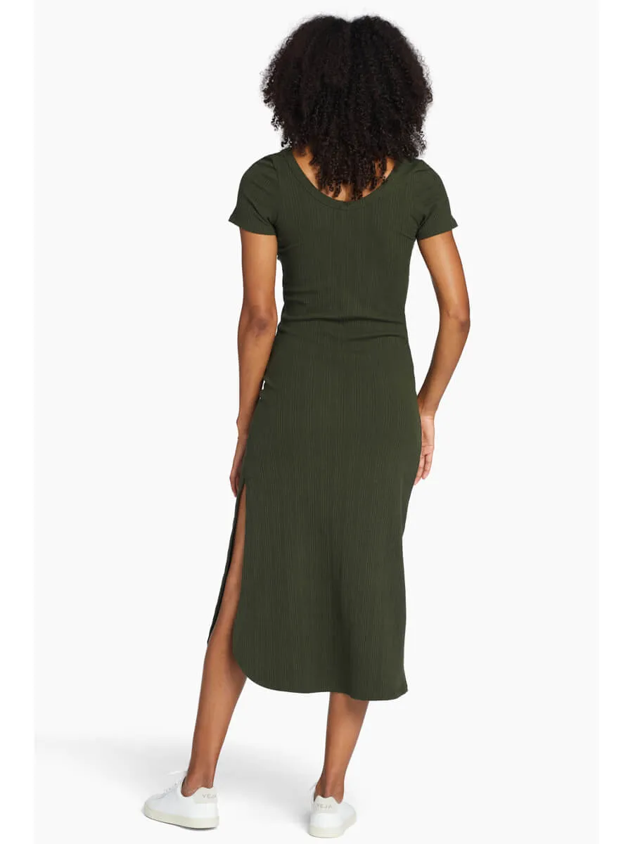 Catalina Tee Dress in Forest Organic Rib