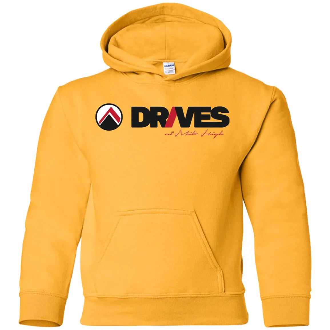 Drives dark logo G185B Gildan Youth Pullover Hoodie
