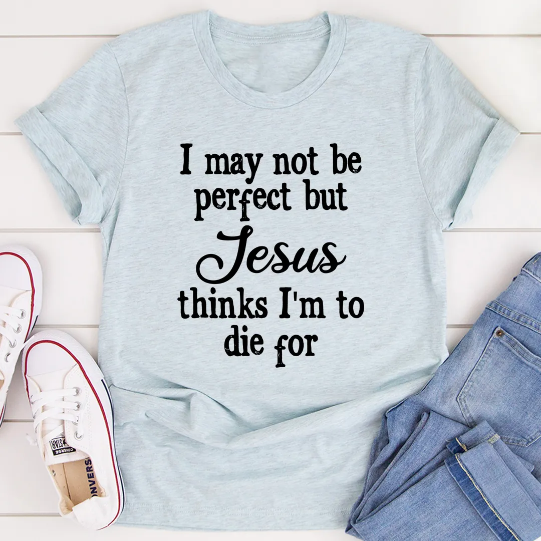 Graphic T-Shirts I May Not Be Perfect Tee