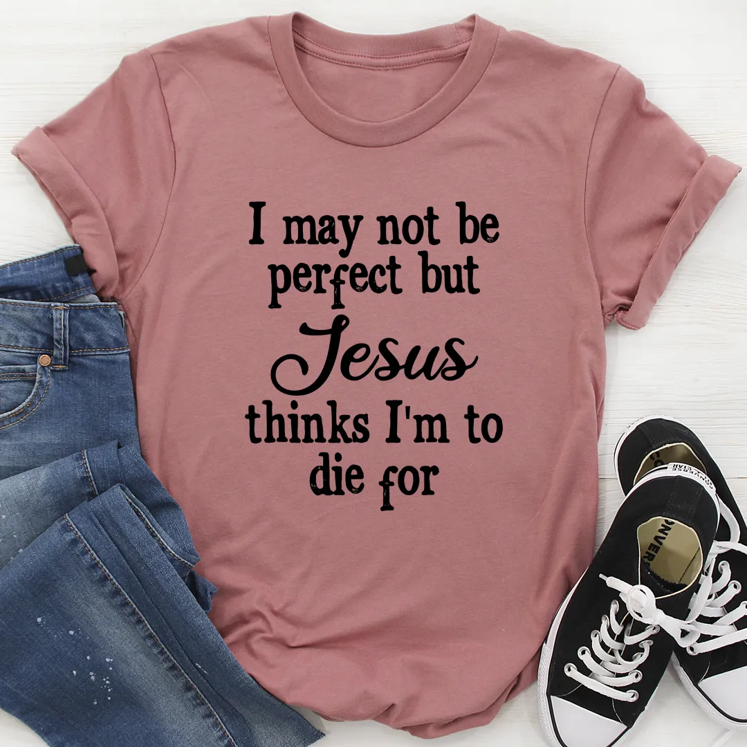 Graphic T-Shirts I May Not Be Perfect Tee
