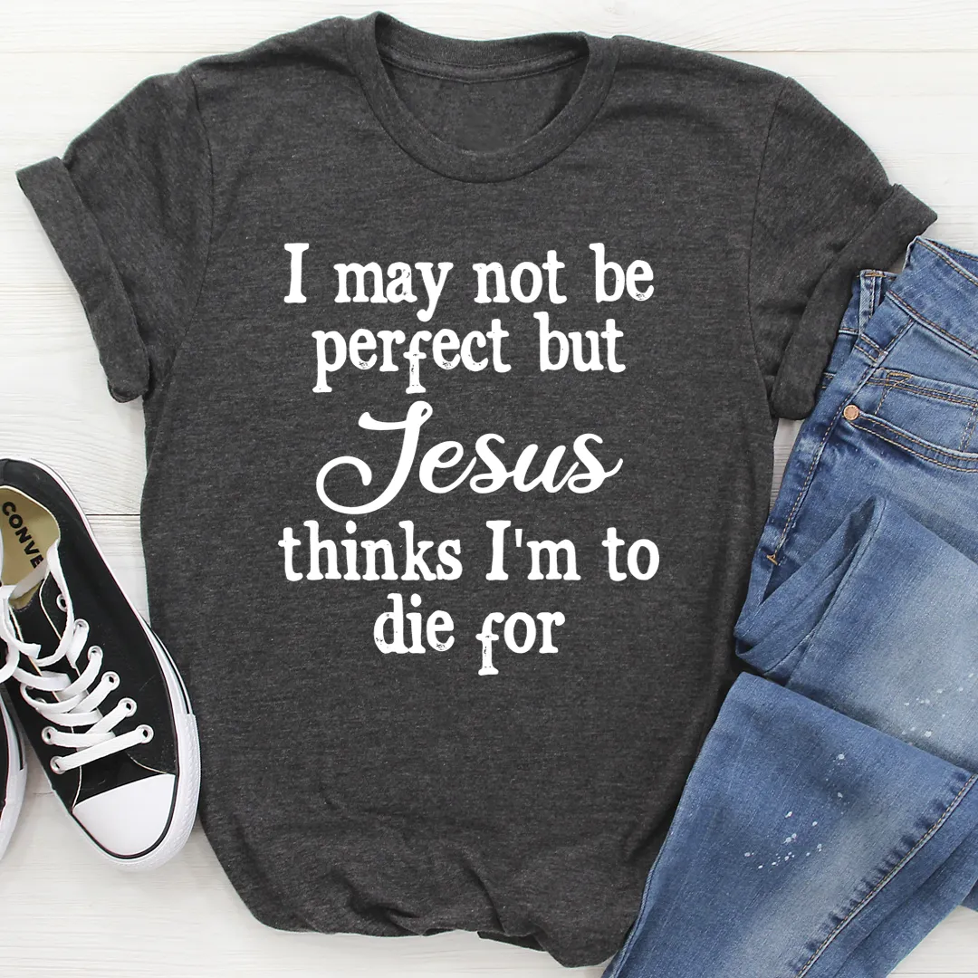 Graphic T-Shirts I May Not Be Perfect Tee