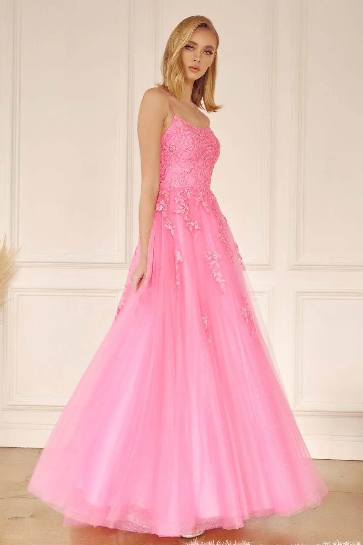 Juliet 260 Floor Length A-Line Lace/Tulle Ball Gown