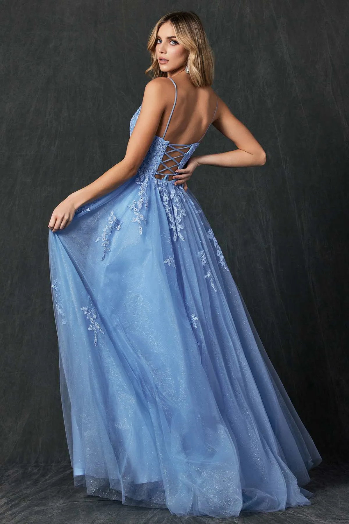 Juliet 260 Floor Length A-Line Lace/Tulle Ball Gown