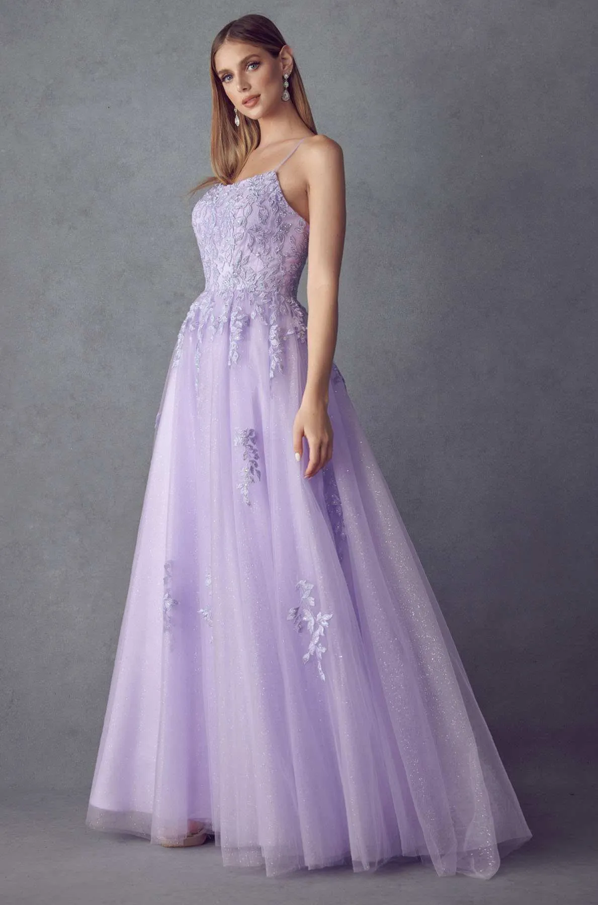 Juliet 260 Floor Length A-Line Lace/Tulle Ball Gown