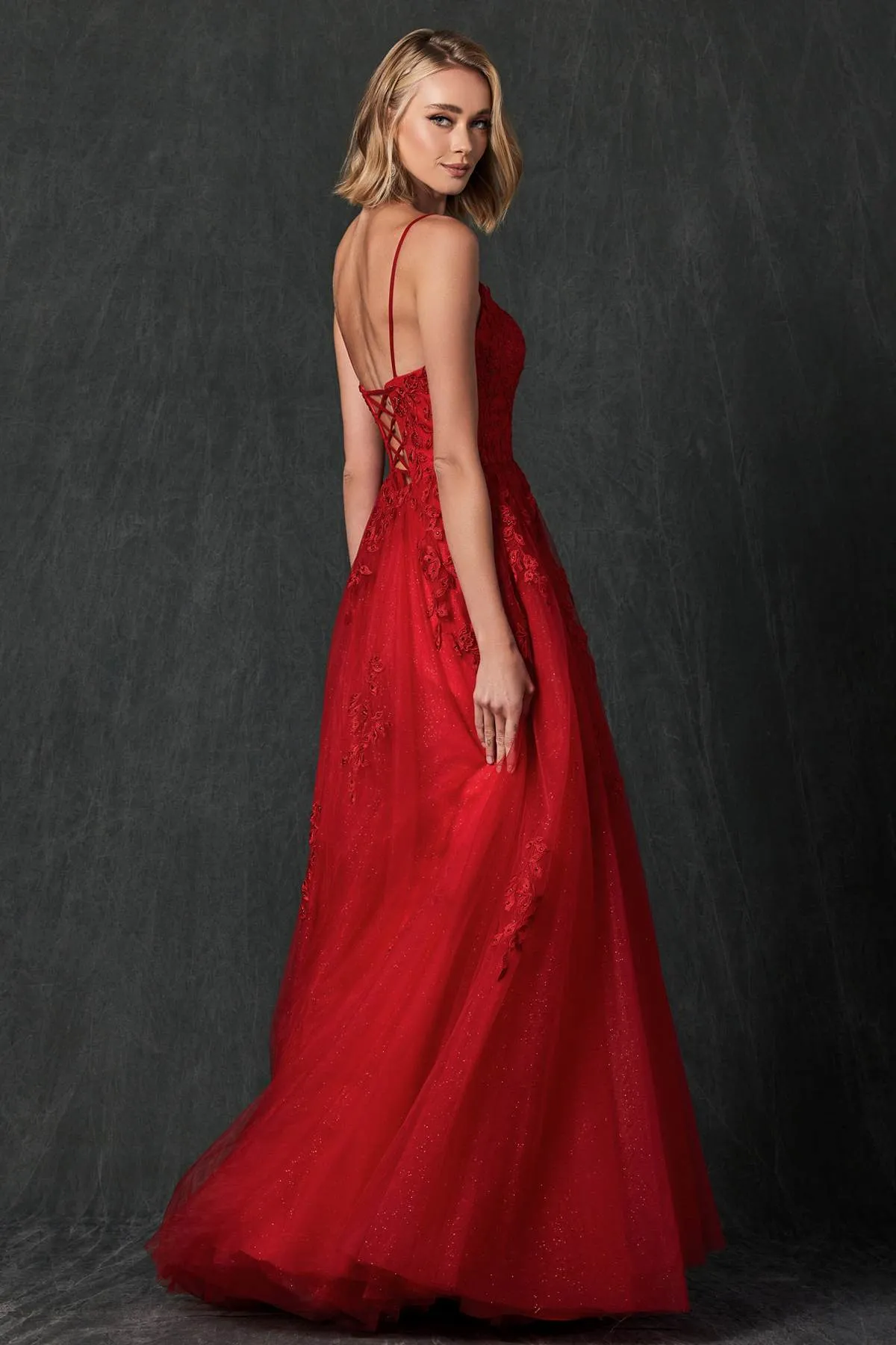 Juliet 260 Floor Length A-Line Lace/Tulle Ball Gown