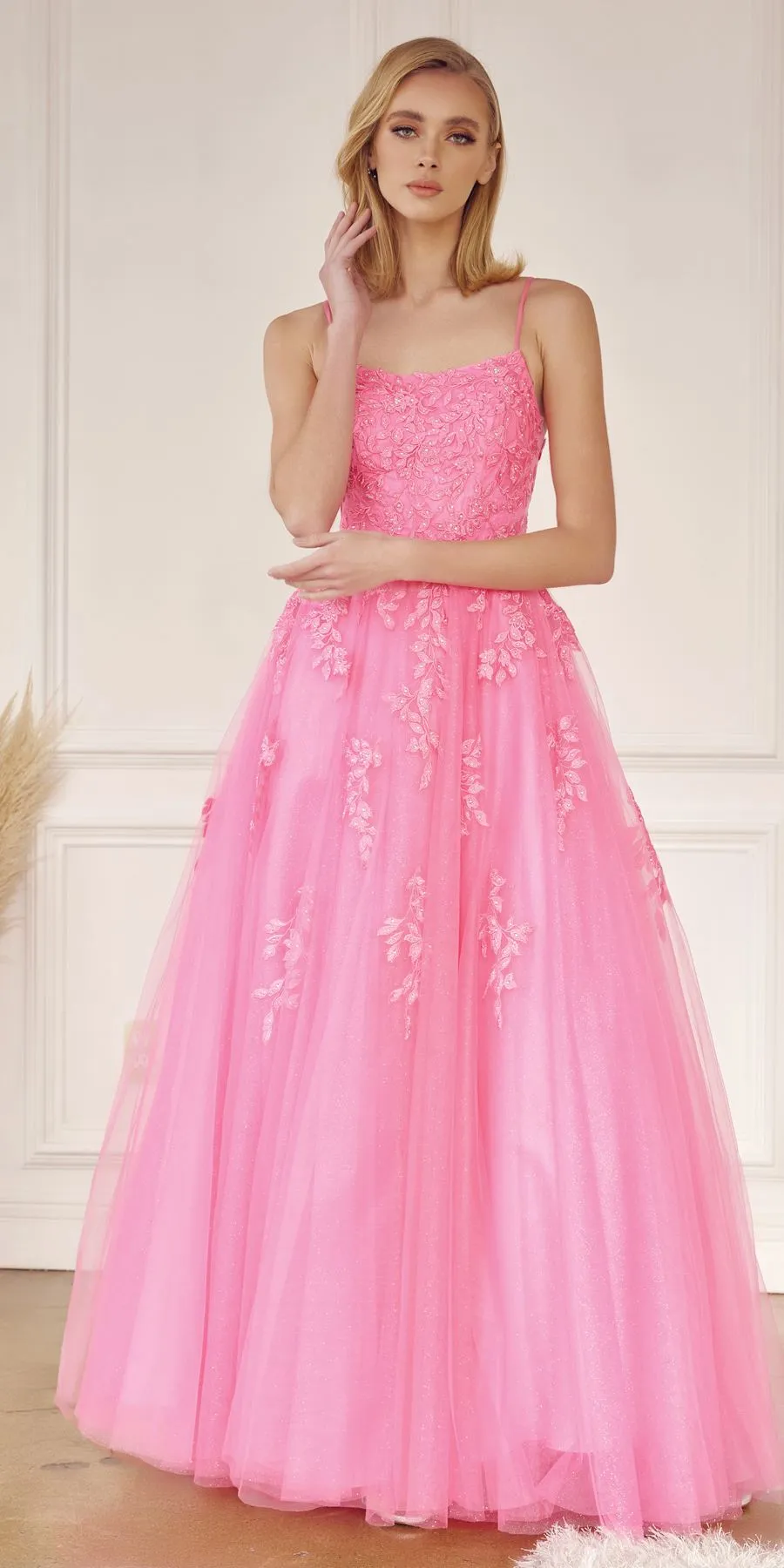 Juliet 260 Floor Length A-Line Lace/Tulle Ball Gown