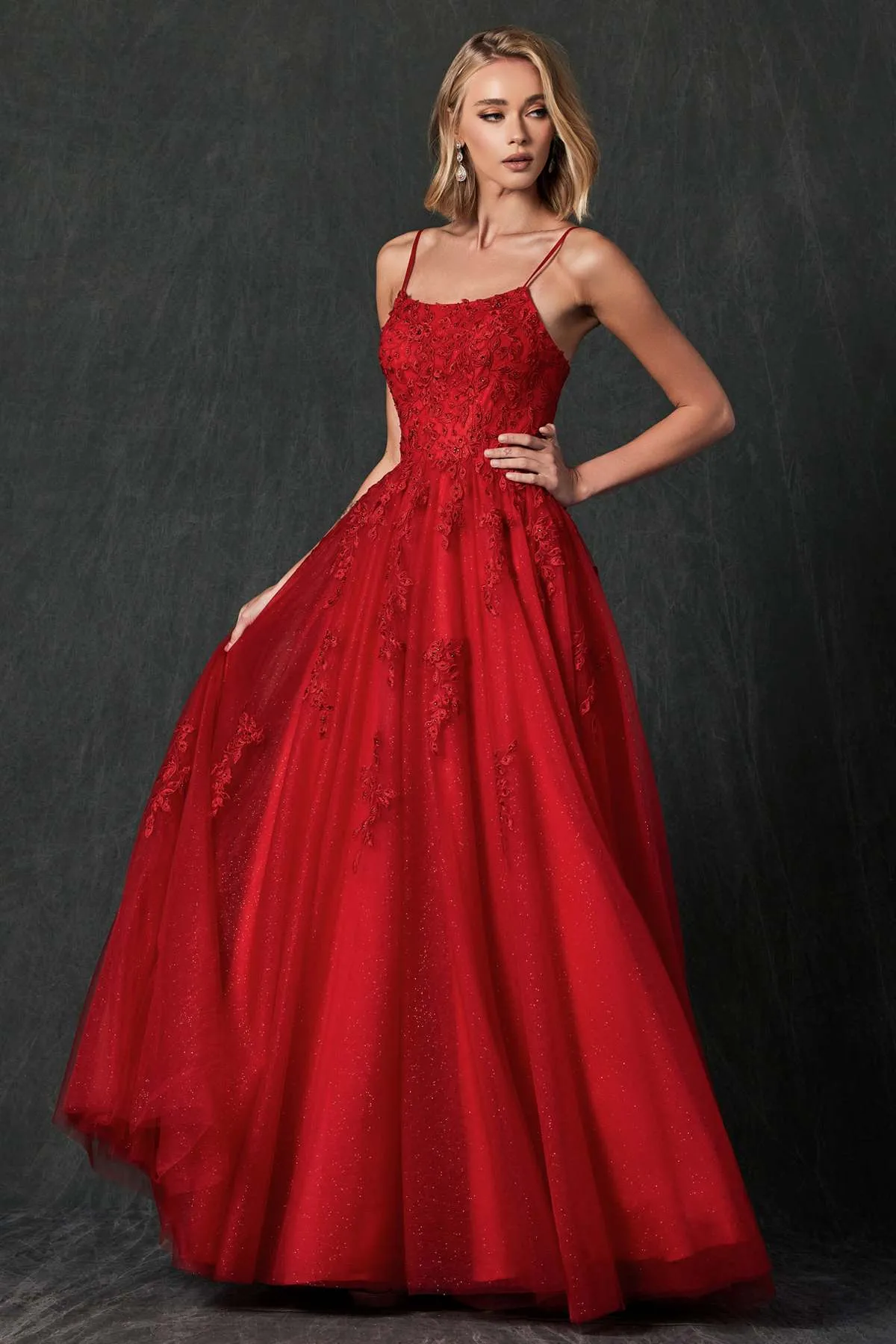 Juliet 260 Floor Length A-Line Lace/Tulle Ball Gown