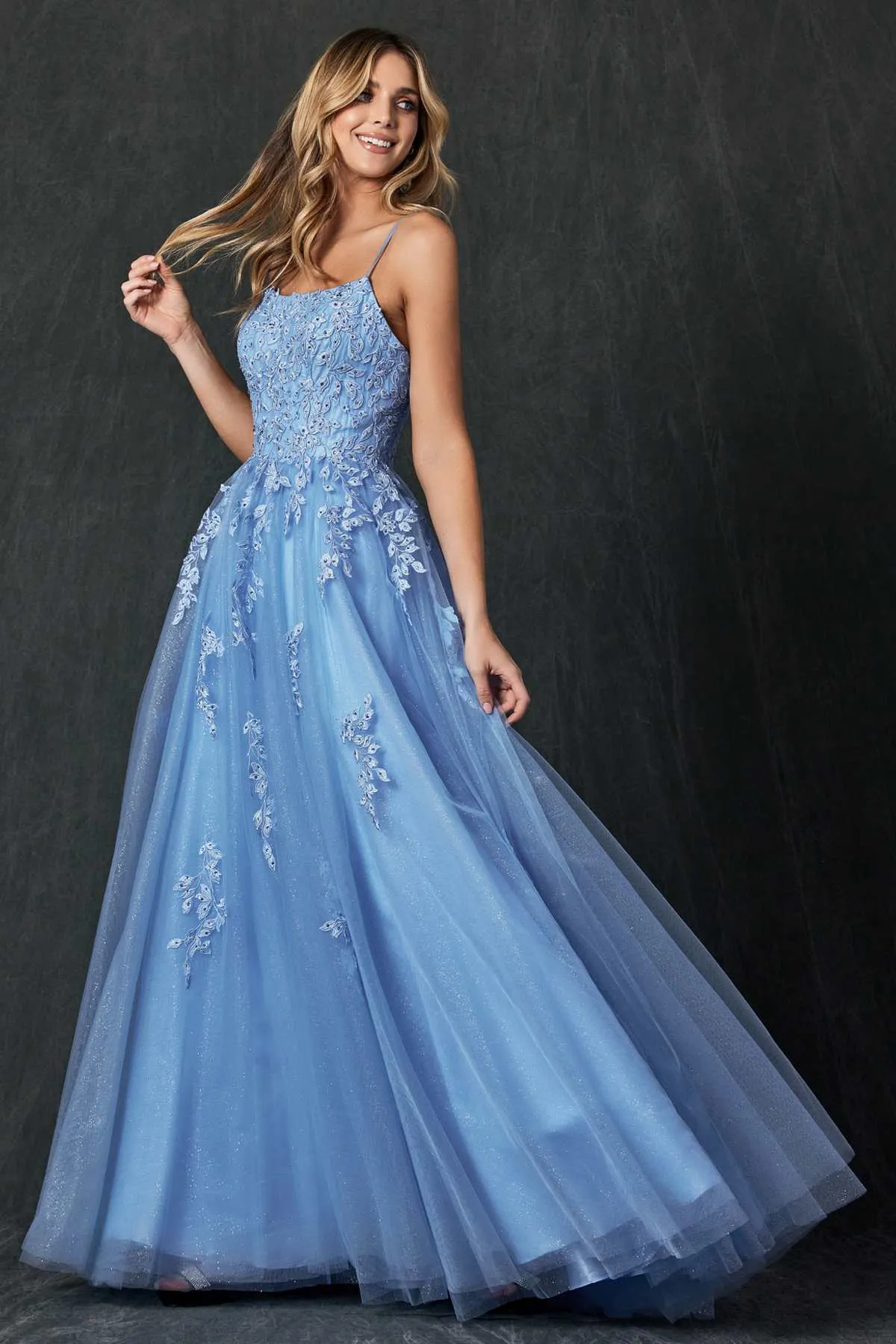 Juliet 260 Floor Length A-Line Lace/Tulle Ball Gown