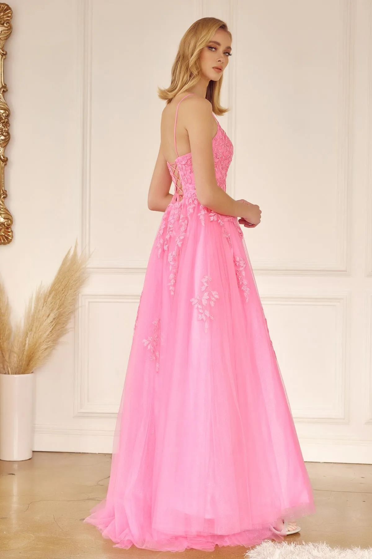 Juliet 260 Floor Length A-Line Lace/Tulle Ball Gown