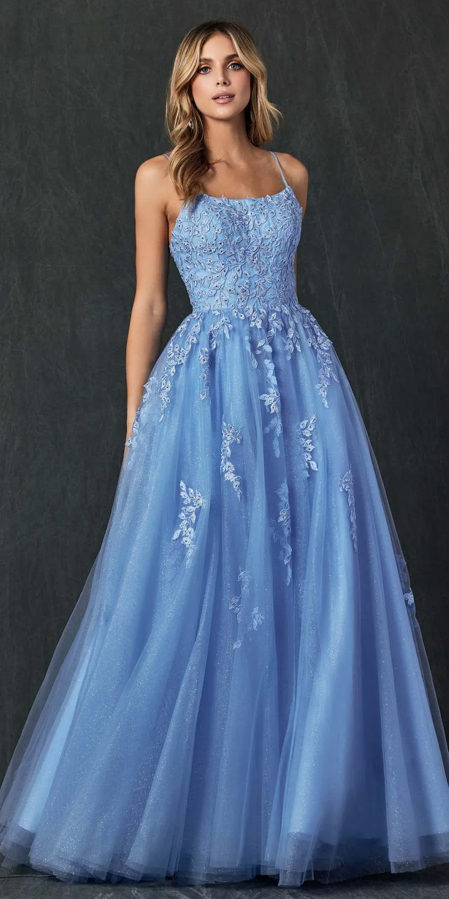Juliet 260 Floor Length A-Line Lace/Tulle Ball Gown