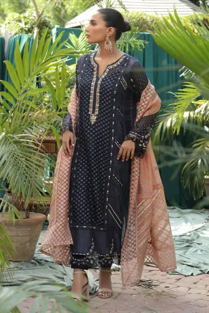Pakistani Embroidered Black Kameez Salwar Party Dress