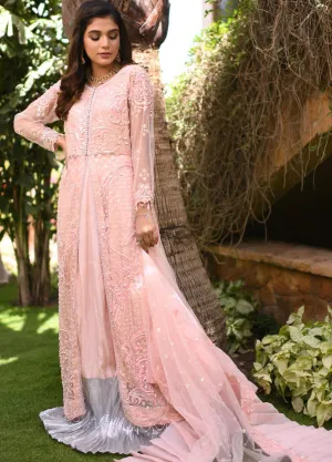 Pakistani Shalwar Kameez Ladies Dress for Eid #PN503