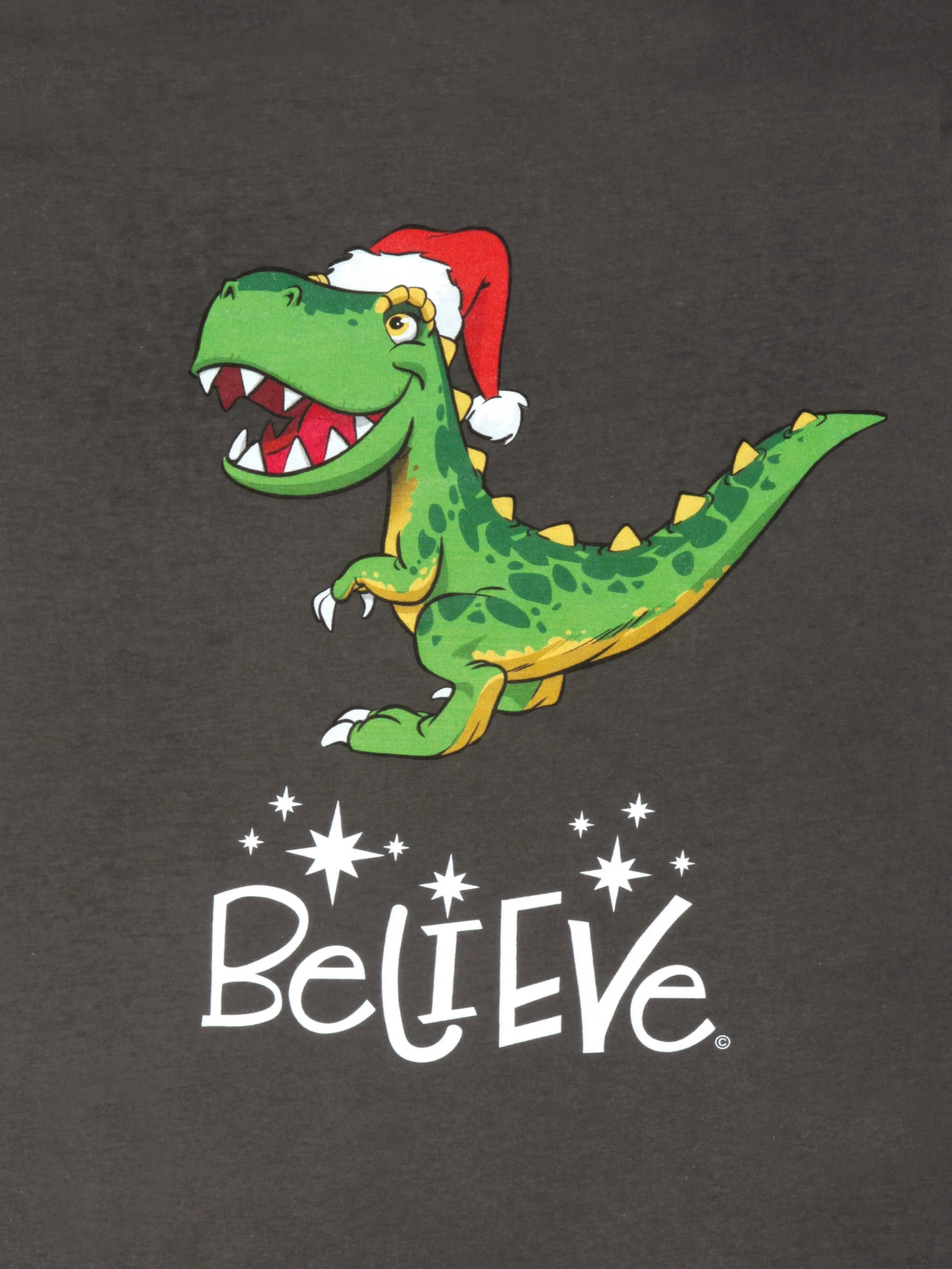 Positive Message Short Sleeve T-Shirt Adult | 100% Cotton | Christmas T-Rex Believe