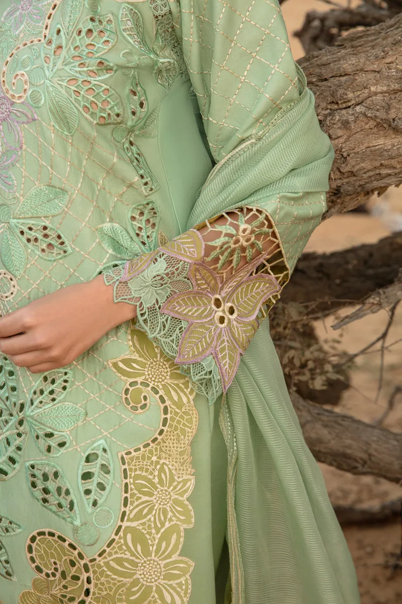 RANG RASIYA | Premium Lawn’24 | ELNAZ