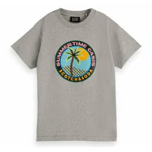 Skate-Fit Artwork T-Shirt - Grey