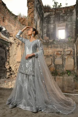 Traditional Lehenga Dress for Wedding Pakistani #BS723