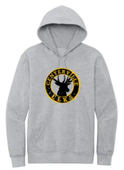 Youth Hoodies - WTS24