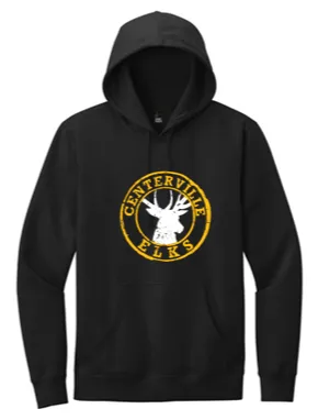 Youth Hoodies - WTS24